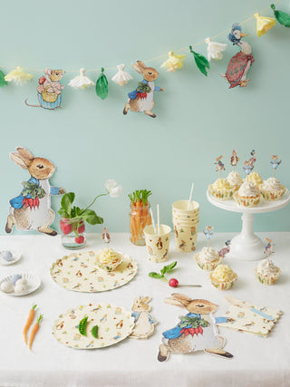 Buy Peter Rabbit Party Supplies Plates Banner Decorations First